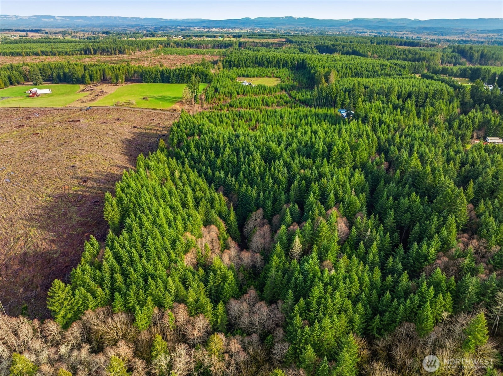 0 NA Nikula Road , Winlock, WA 98596