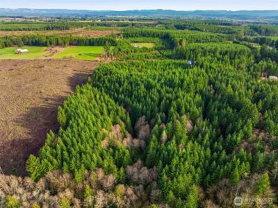 0 NA Nikula Road , Winlock, WA 98596 - Photo 6