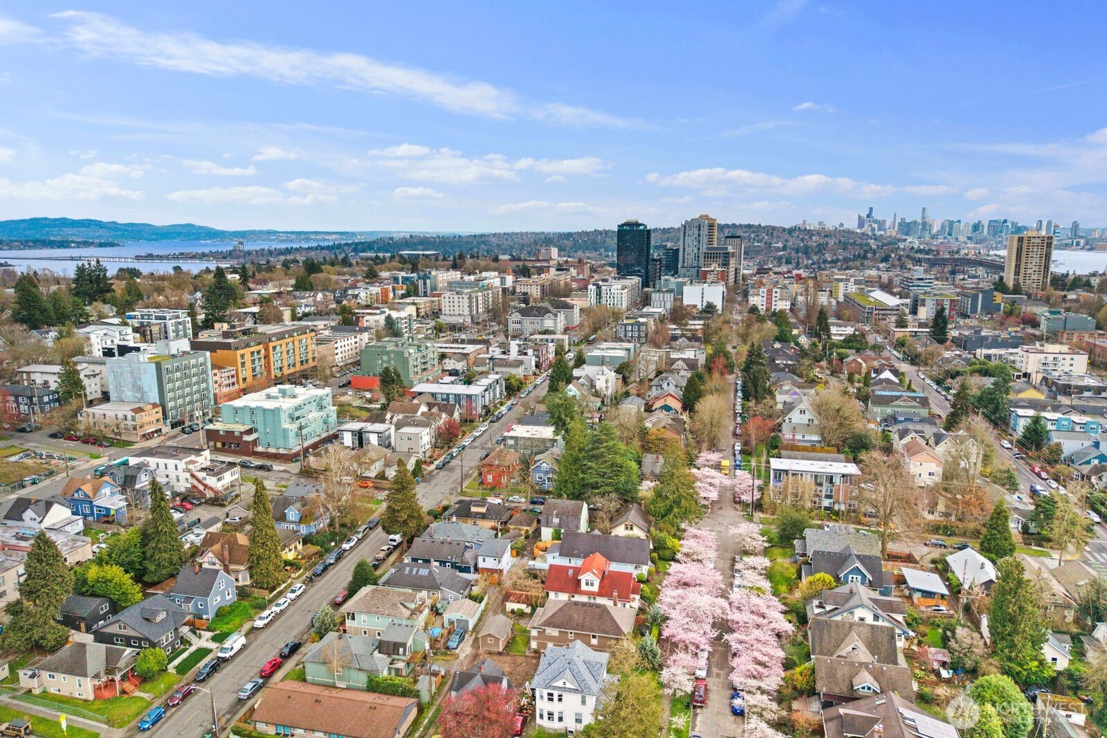 5520 Brooklyn Avenue NE, Seattle, WA 98105