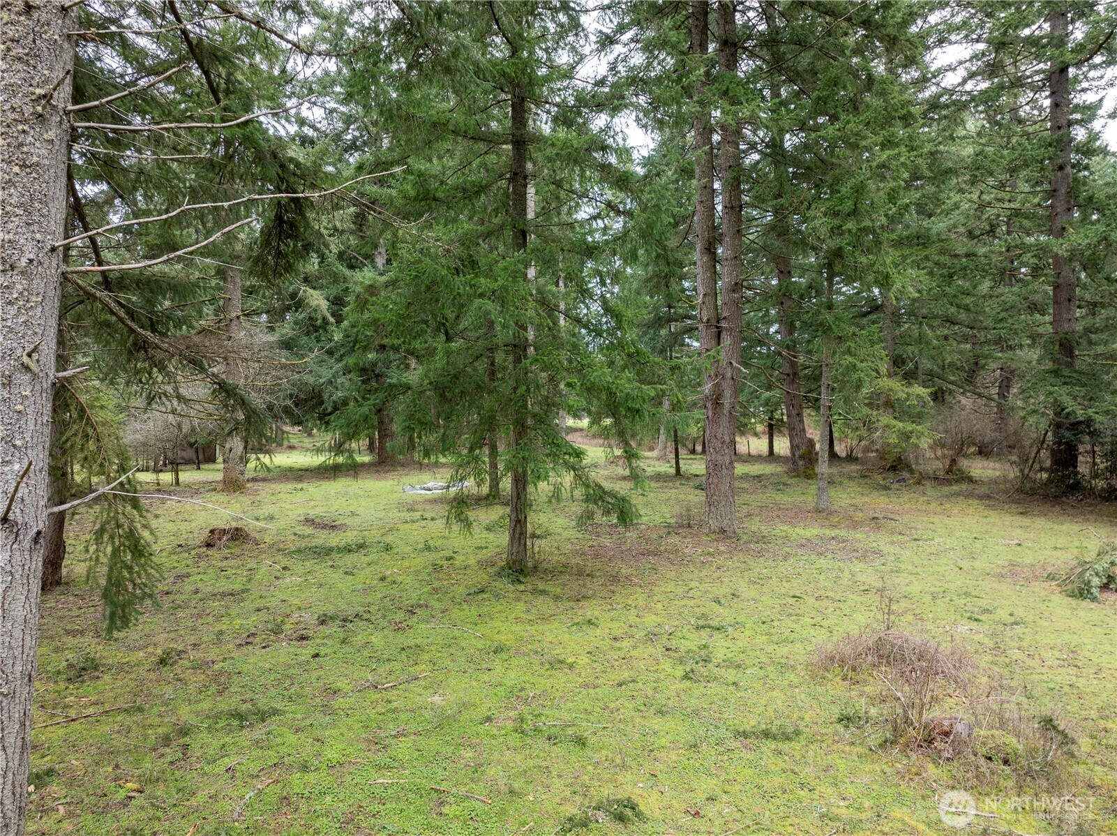 5134 Old Military Road SE, Tenino, WA 98589