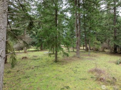 5134 Old Military Road SE, Tenino, WA 98589 - Photo 38