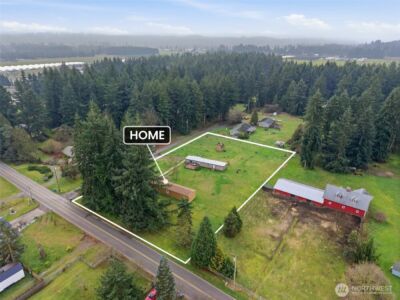 19141 Joselyn Street SW, Rochester, WA 98579 - Photo 2