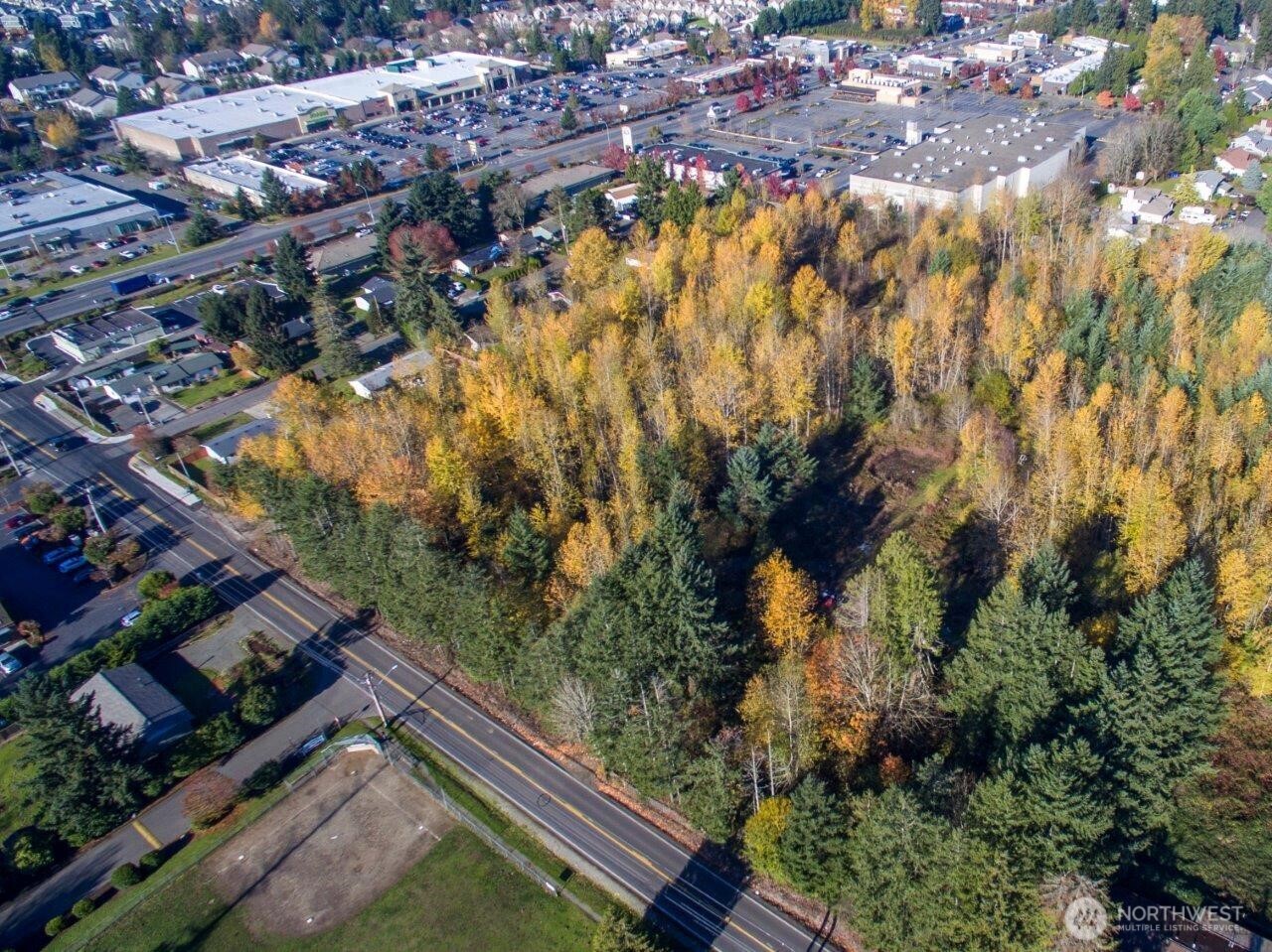 10313 136th Street E, Puyallup, WA 98374