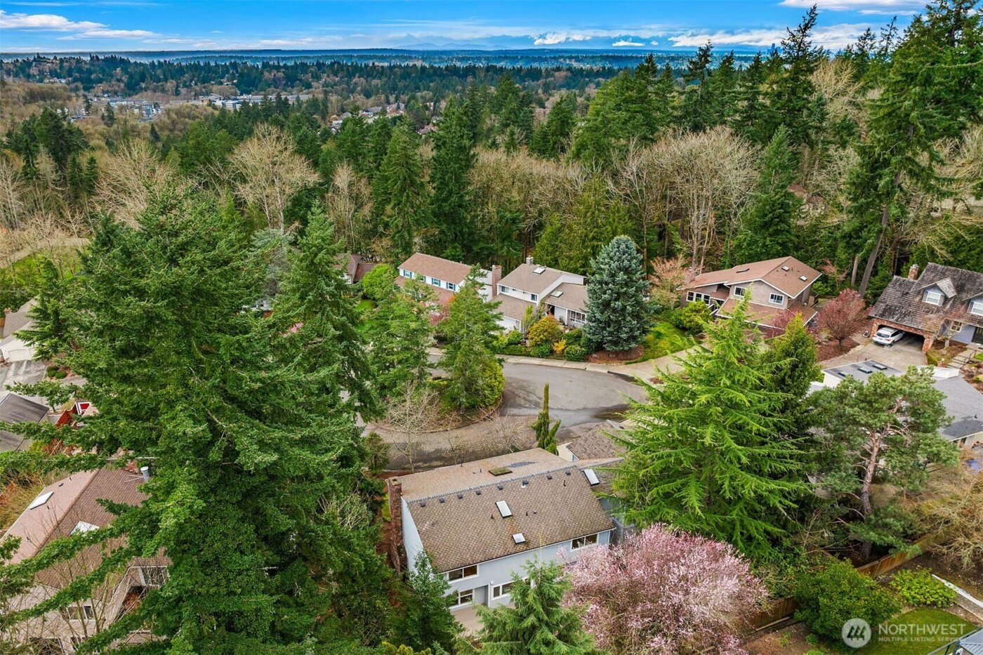 6220 146th Place SE, Bellevue, WA 98006