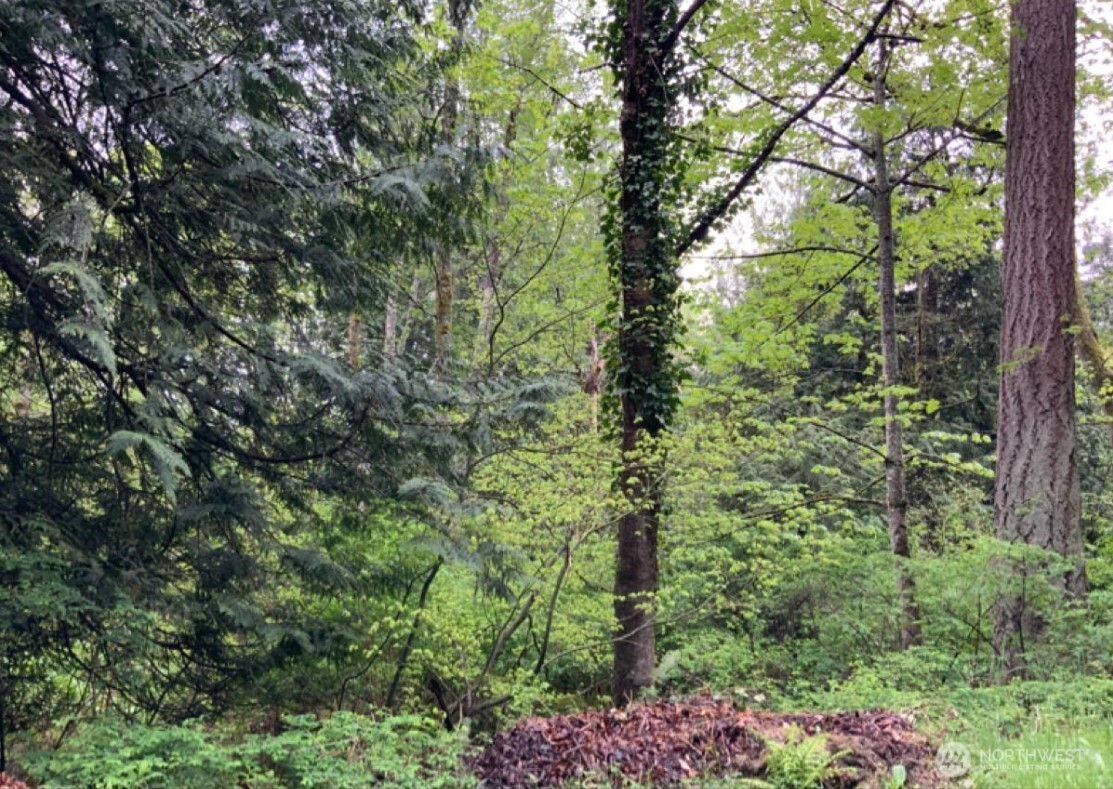 0 Pine Street , Bellingham, WA 98229