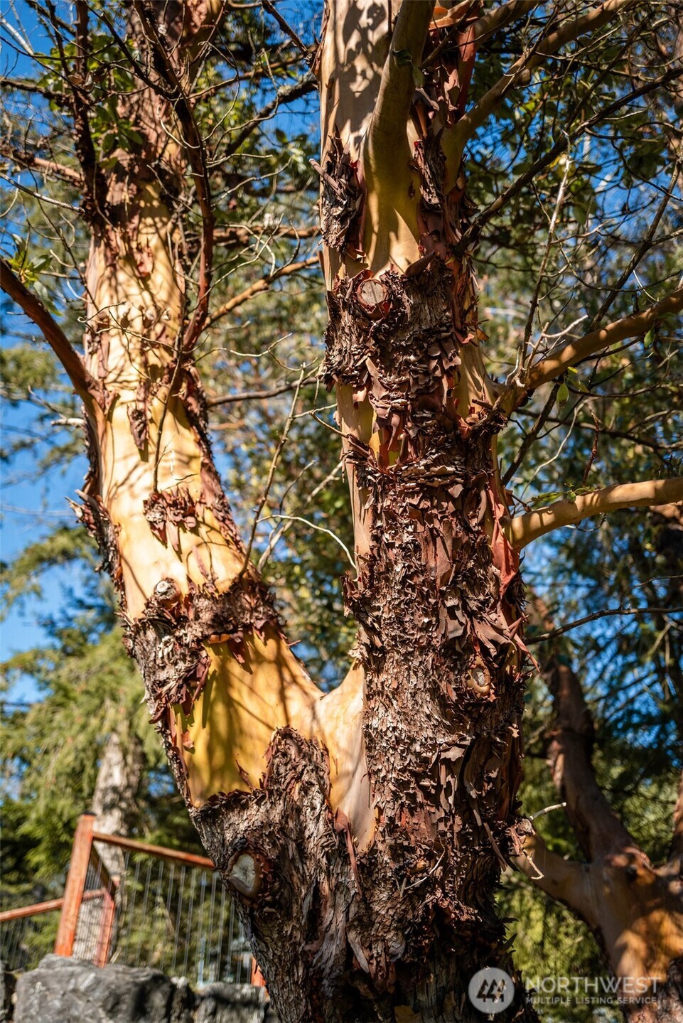 1062 Yacht Haven Road , Friday Harbor, WA 98250