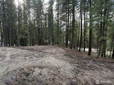 22124 Appaloosa Lane , Leavenworth, WA 98826 - Photo 4