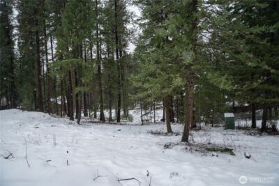 22125 Appaloosa Lane , Leavenworth, WA 98826 - Photo 2