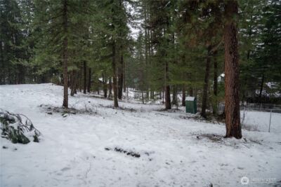 22125 Appaloosa Lane , Leavenworth, WA 98826 - Photo 3