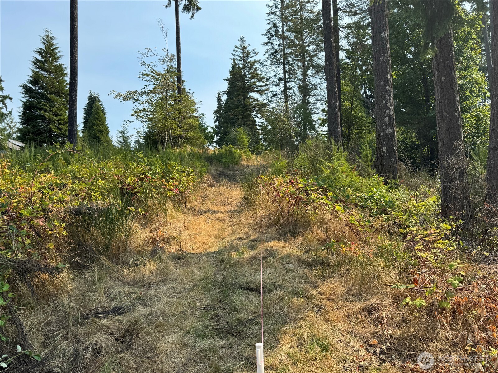 0 E Tall Timber Lane , Shelton, WA 98584