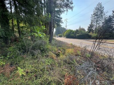 0 E Tall Timber Lane , Shelton, WA 98584 - Photo 12