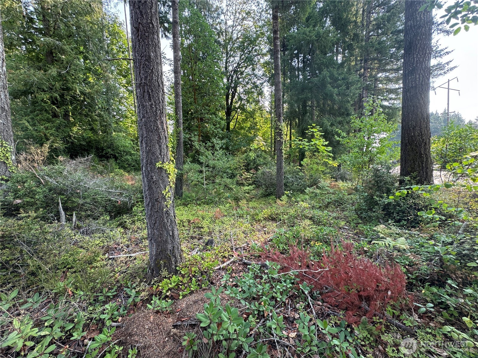 0 E Tall Timber Lane , Shelton, WA 98584