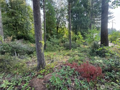 0 E Tall Timber Lane , Shelton, WA 98584 - Photo 14