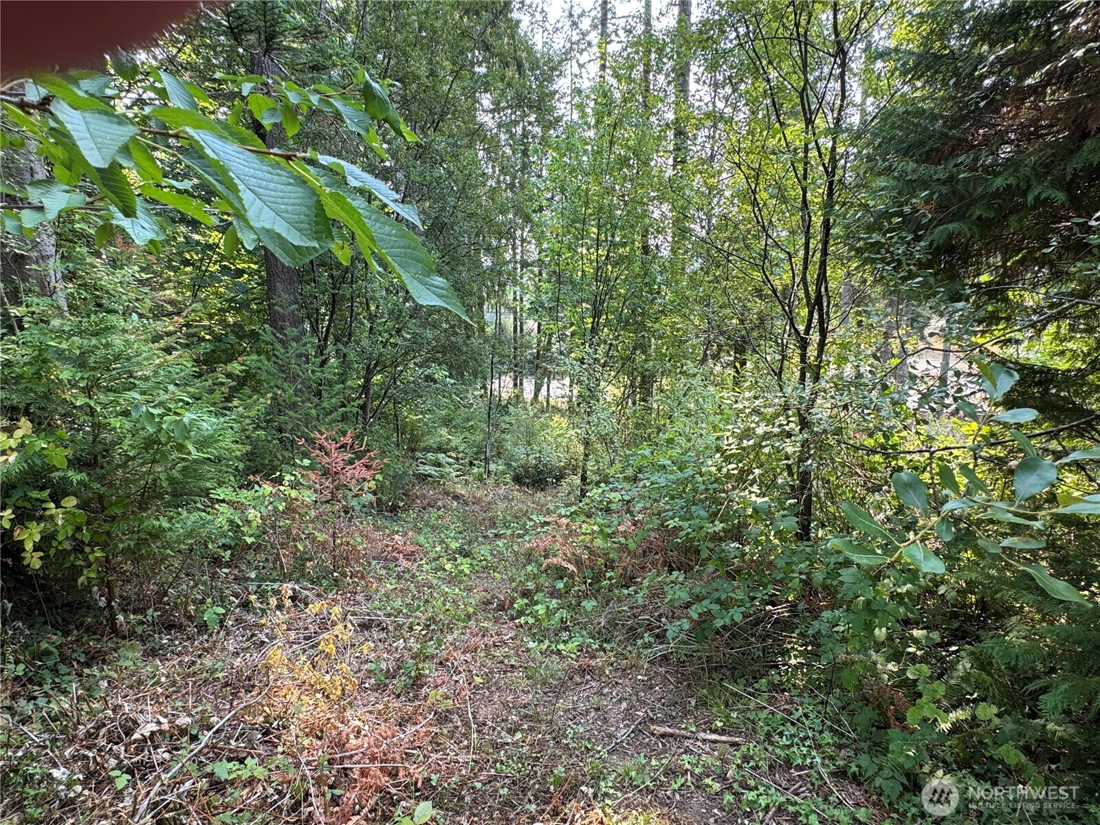 0 E Tall Timber Lane , Shelton, WA 98584