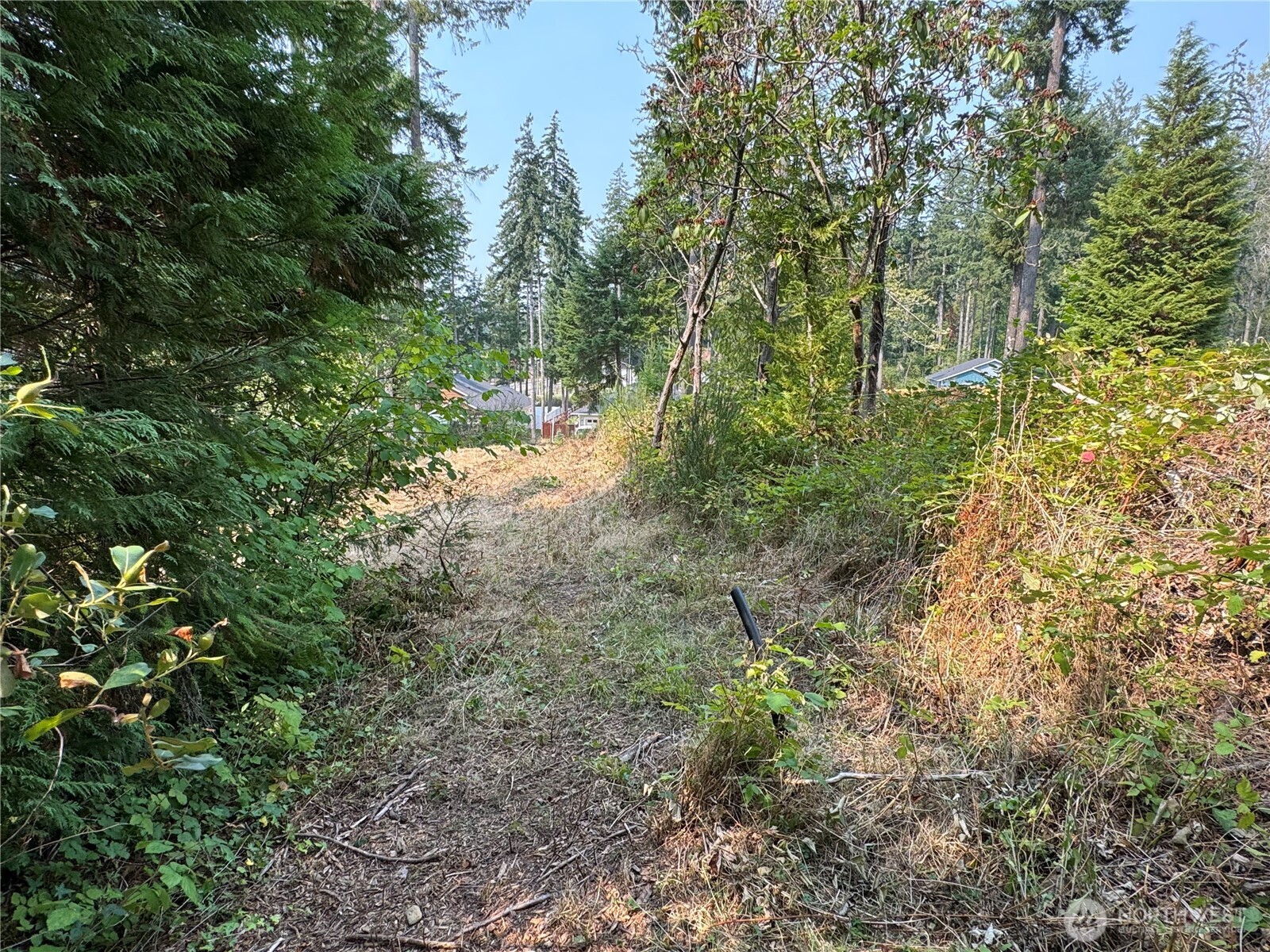 0 E Tall Timber Lane , Shelton, WA 98584