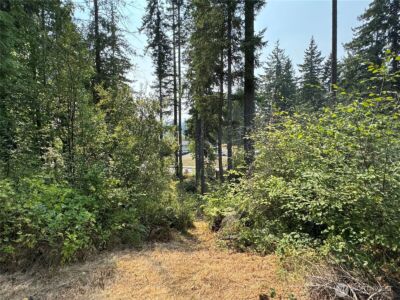 0 E Tall Timber Lane , Shelton, WA 98584 - Photo 18