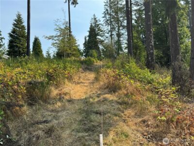 0 E Tall Timber Lane , Shelton, WA 98584 - Photo 2