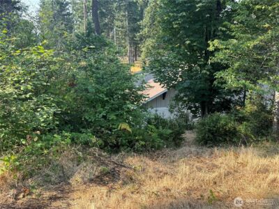 0 E Tall Timber Lane , Shelton, WA 98584 - Photo 5