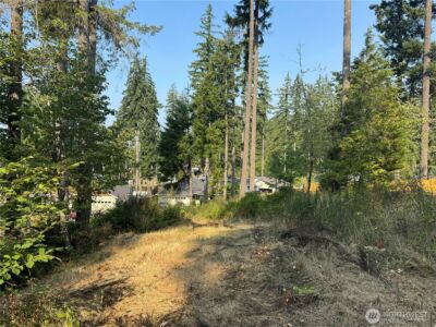 0 E Tall Timber Lane , Shelton, WA 98584 - Photo 6