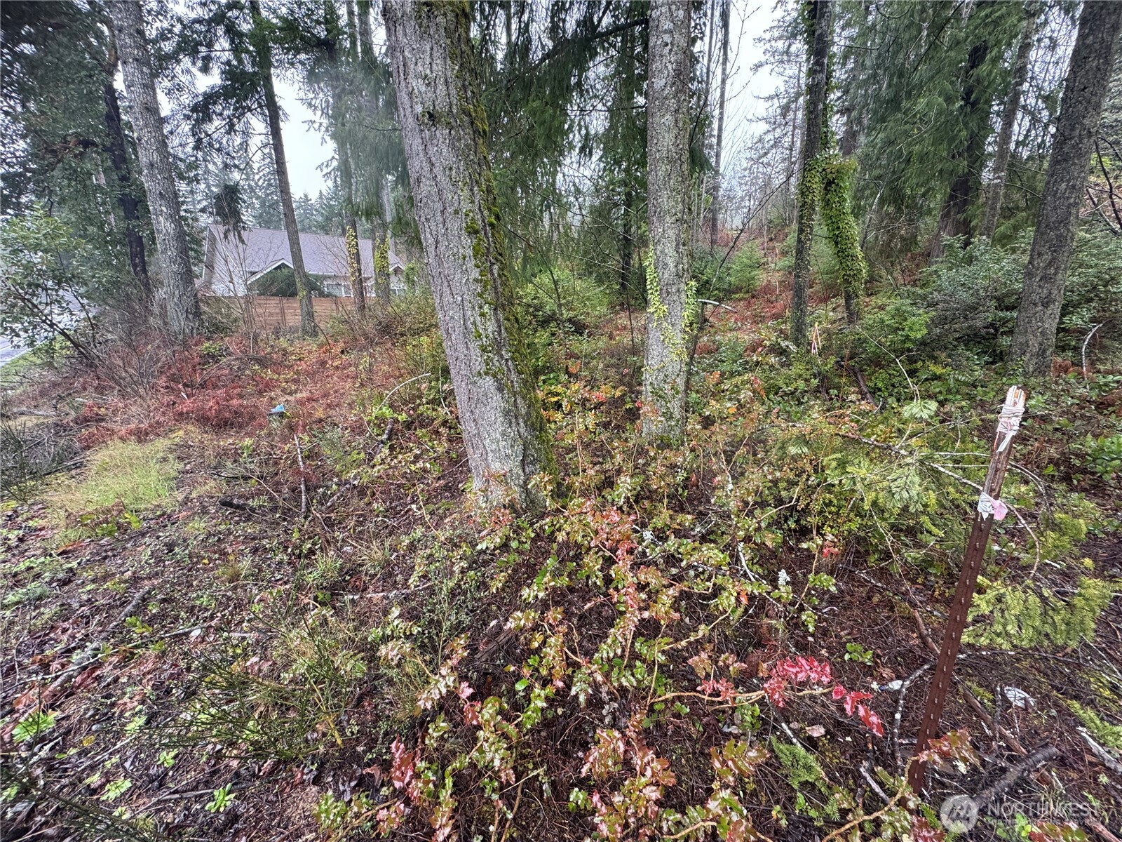 0 E Tall Timber Lane , Shelton, WA 98584