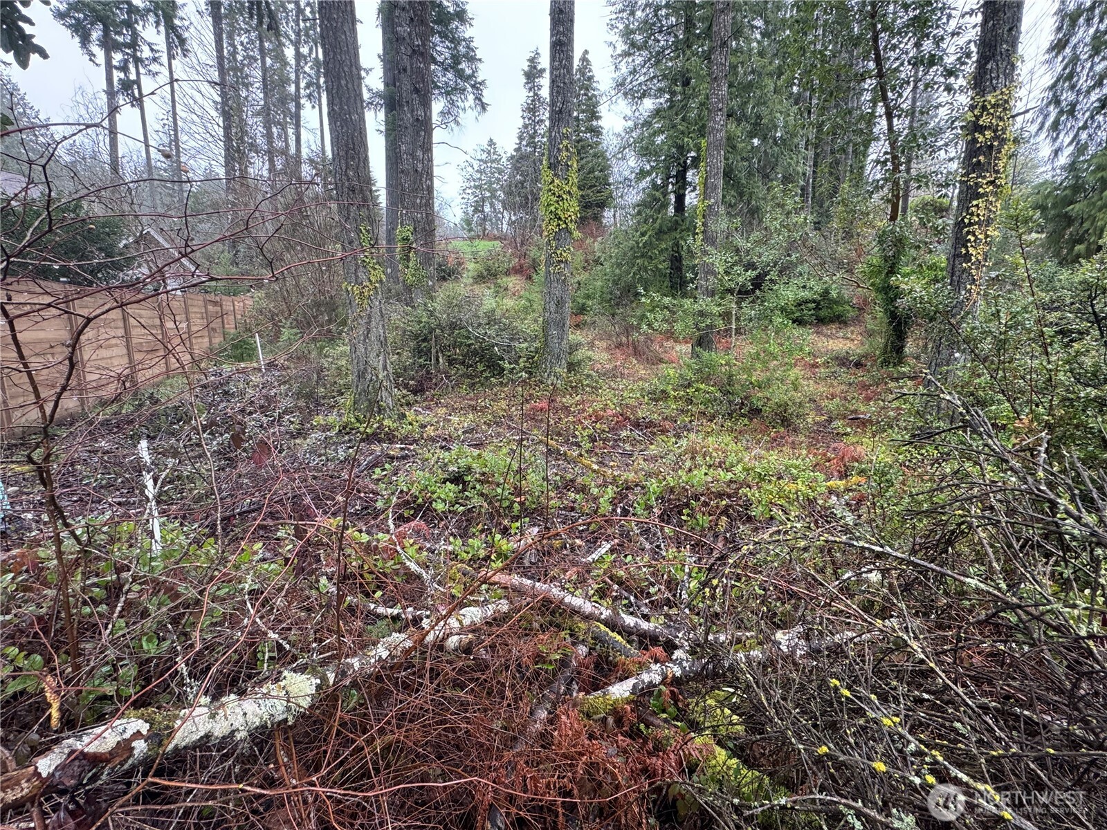 0 E Tall Timber Lane , Shelton, WA 98584