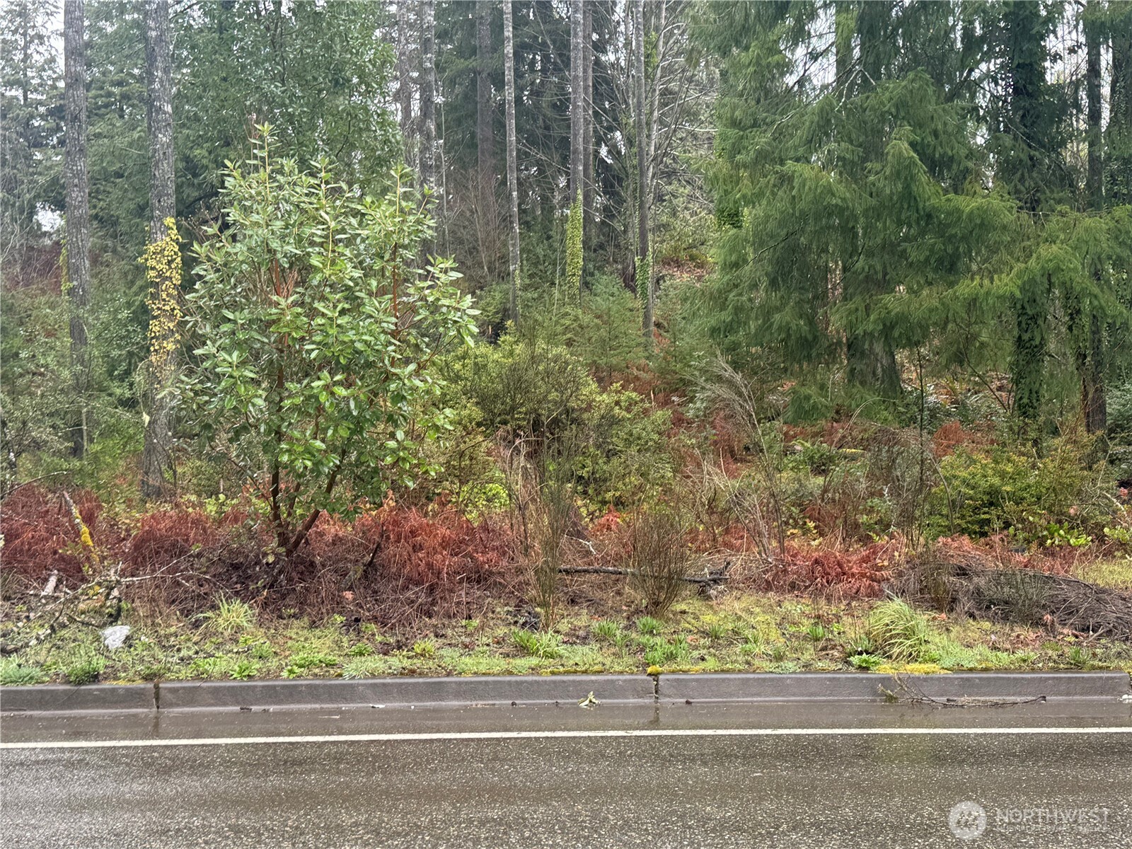 0 E Tall Timber Lane , Shelton, WA 98584