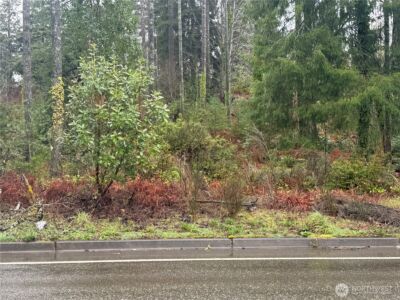 0 E Tall Timber Lane , Shelton, WA 98584 - Photo 10
