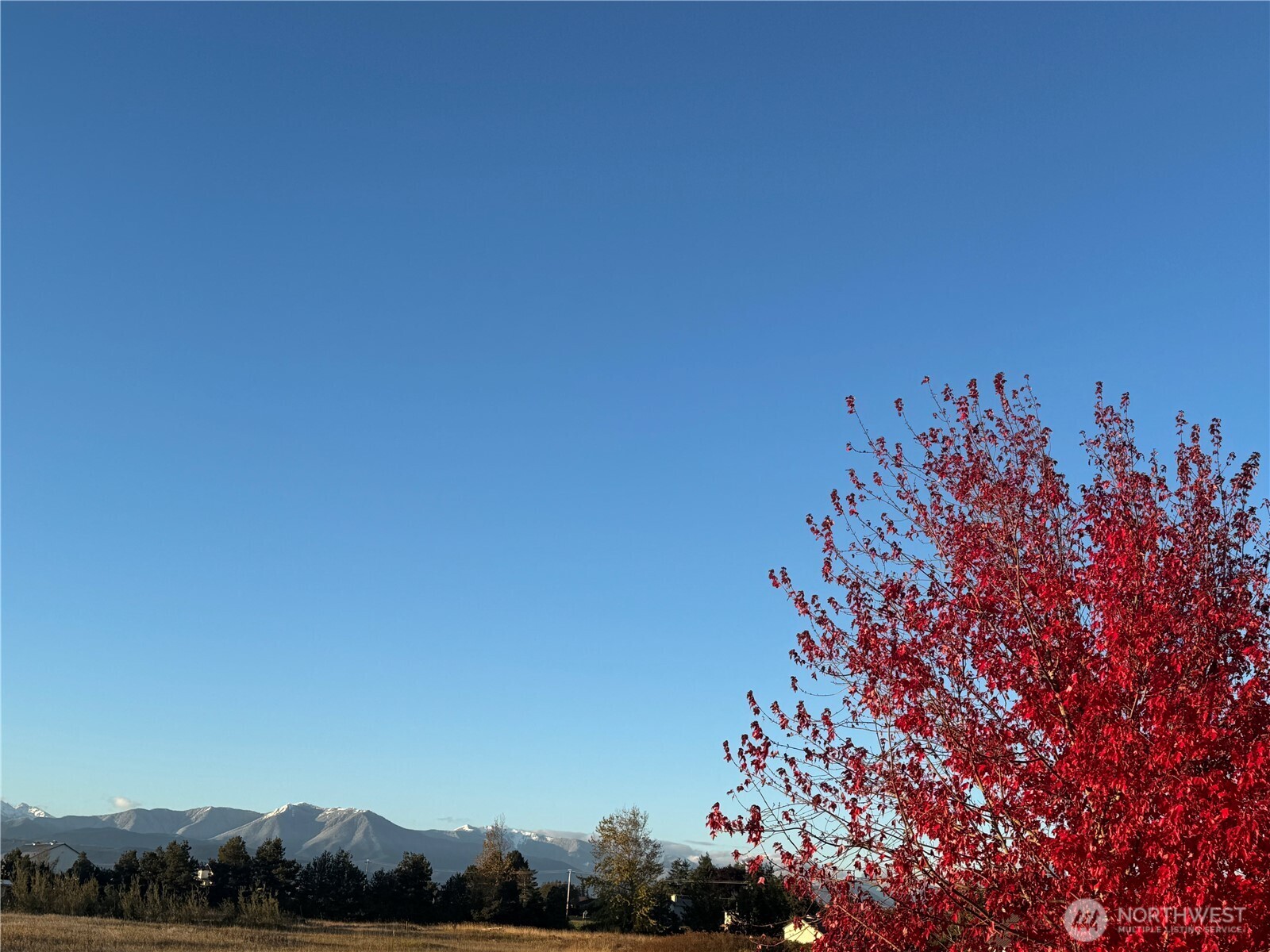 73 Cobb Circle , Sequim, WA 98382