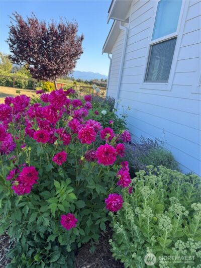 73 Cobb Circle , Sequim, WA 98382 - Photo 9