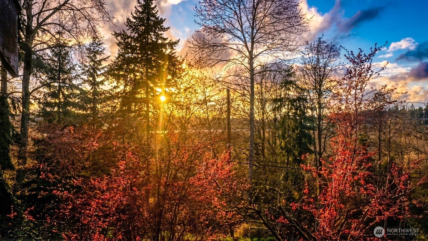 3838 Lake Washington Boulevard SE #B-5, Bellevue, WA 98006