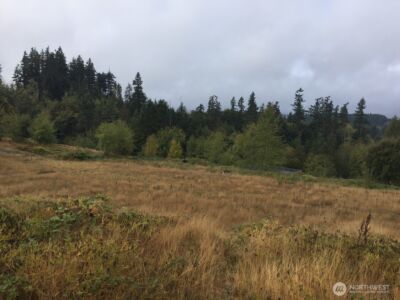 0 Pottery Avenue , Port Orchard, WA 98366 - Photo 8