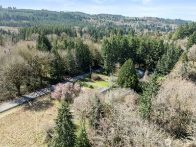 425 Winston Creek Road , Mossyrock, WA 98564 - Photo 36