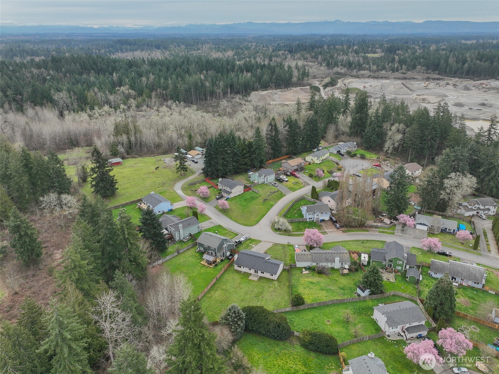 8201 295th St S , Roy, WA 98580