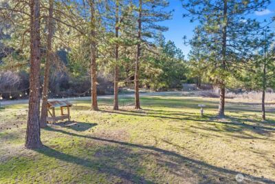 31297 Dodd Creek Lane E, Davenport, WA 99122 - Photo 34