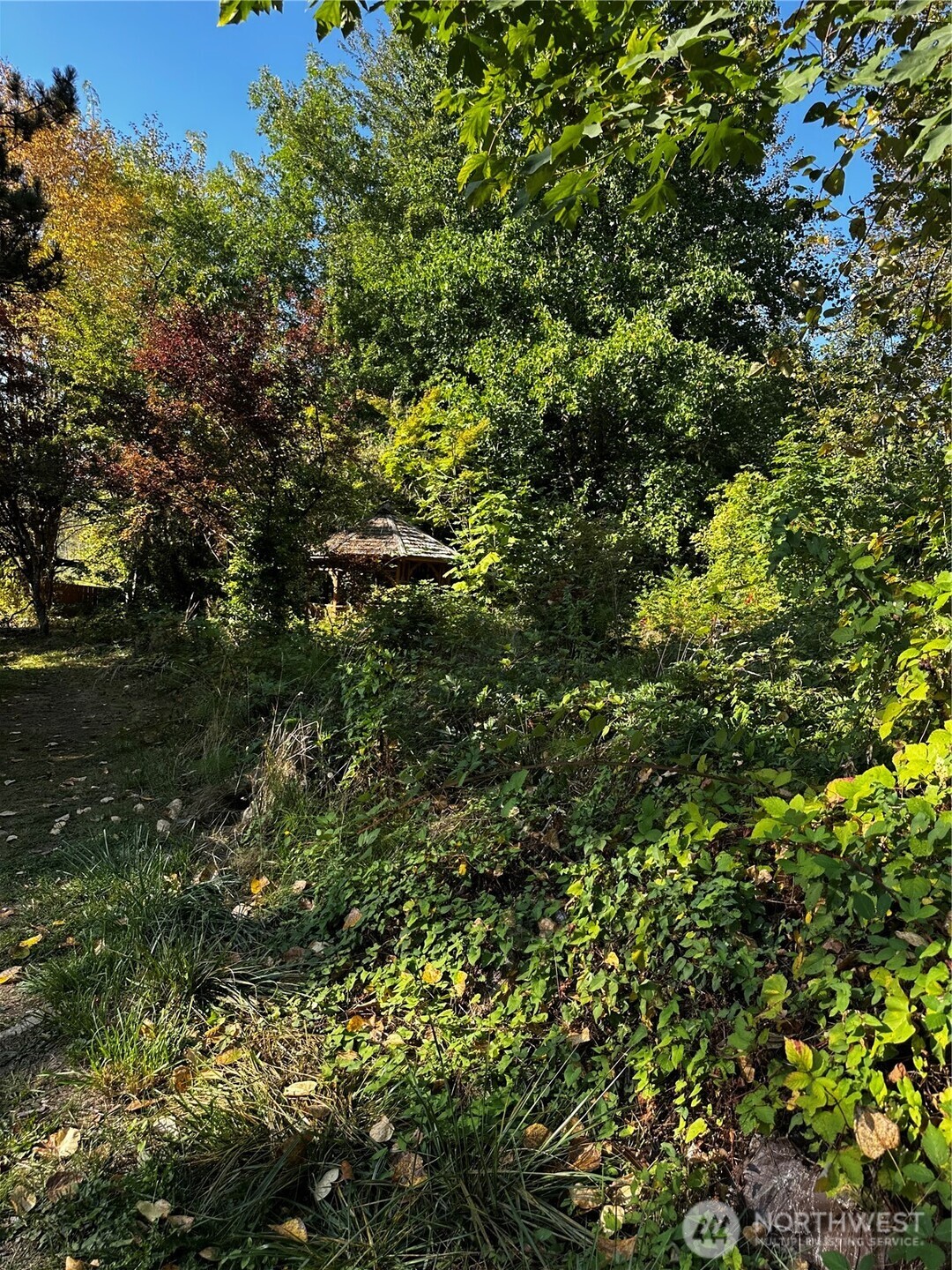 150 Anderson Road , Glenoma, WA 98336