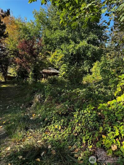 150 Anderson Road , Glenoma, WA 98336 - Photo 15