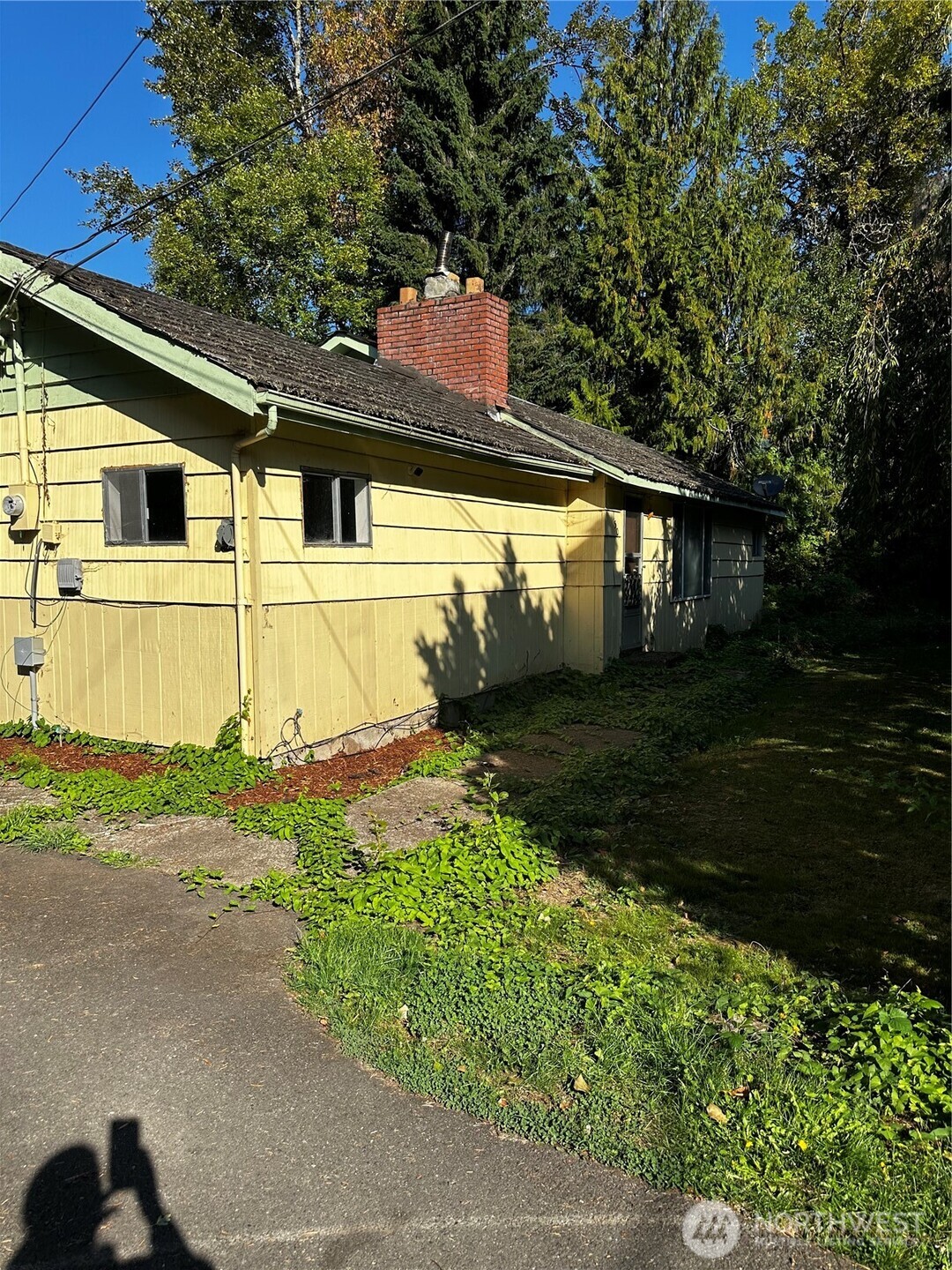 150 Anderson Road , Glenoma, WA 98336