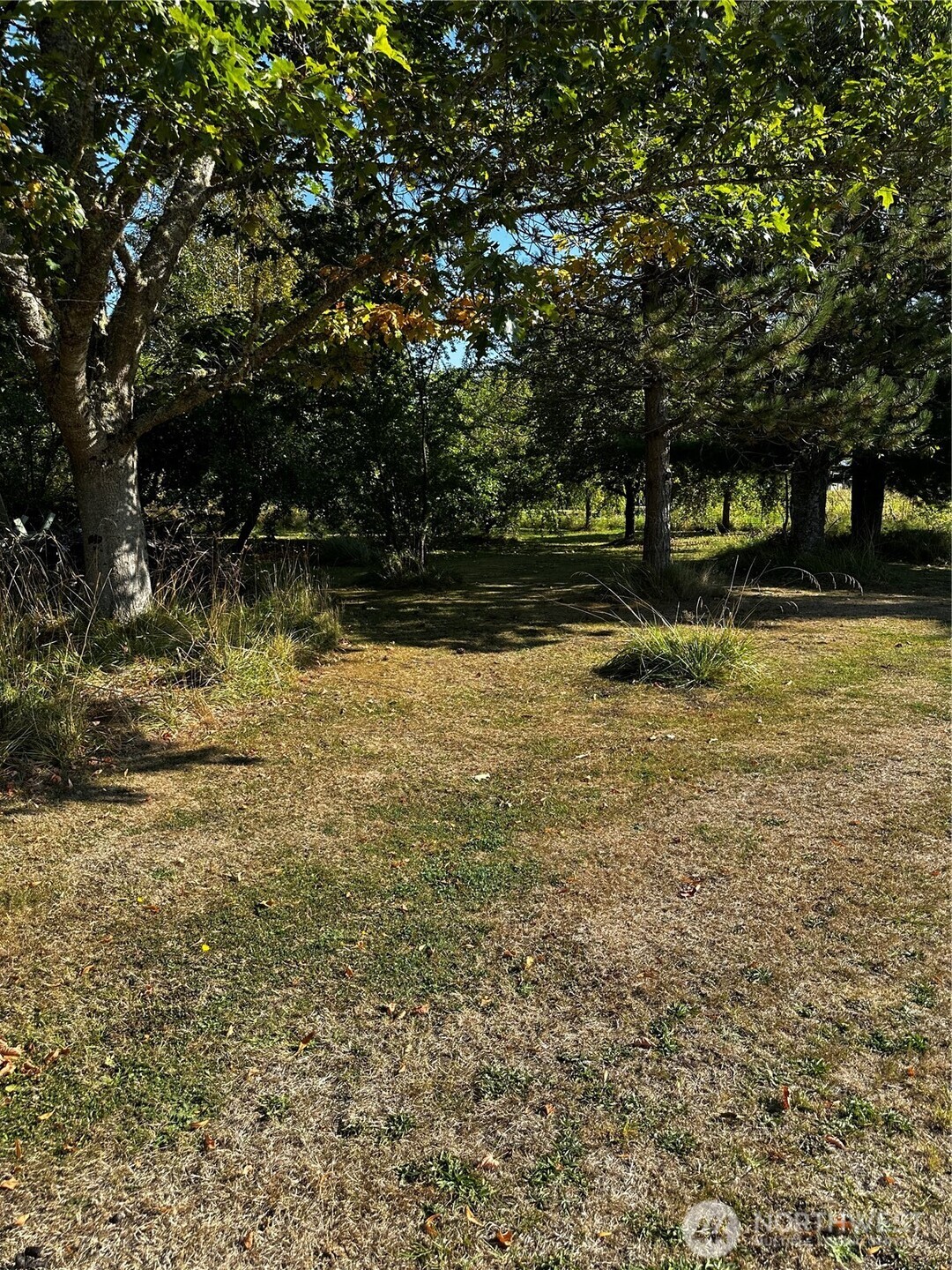 150 Anderson Road , Glenoma, WA 98336