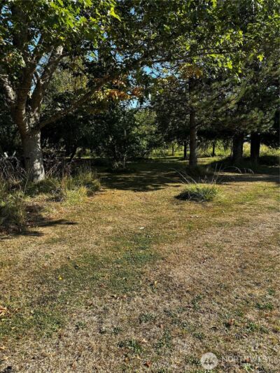 150 Anderson Road , Glenoma, WA 98336 - Photo 21