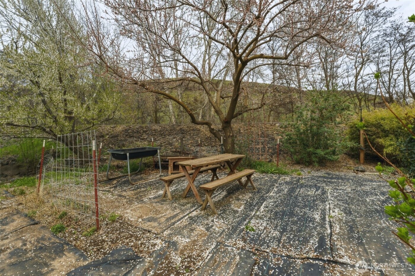 1427 Wilkenson Street , Milton-Freewater, OR 97862