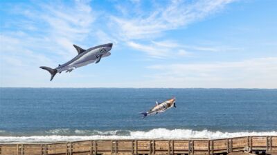 205 W Bolstad Avenue #304, Long Beach, WA 98631 - Photo 5