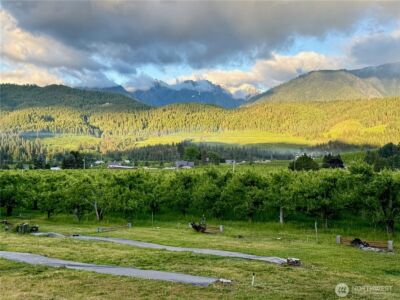 9753 Nibbelink Road , Peshastin, WA 98847 - Photo 36