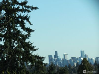 8218 2nd Avenue NE ##B, Seattle, WA 98115 - Photo 33