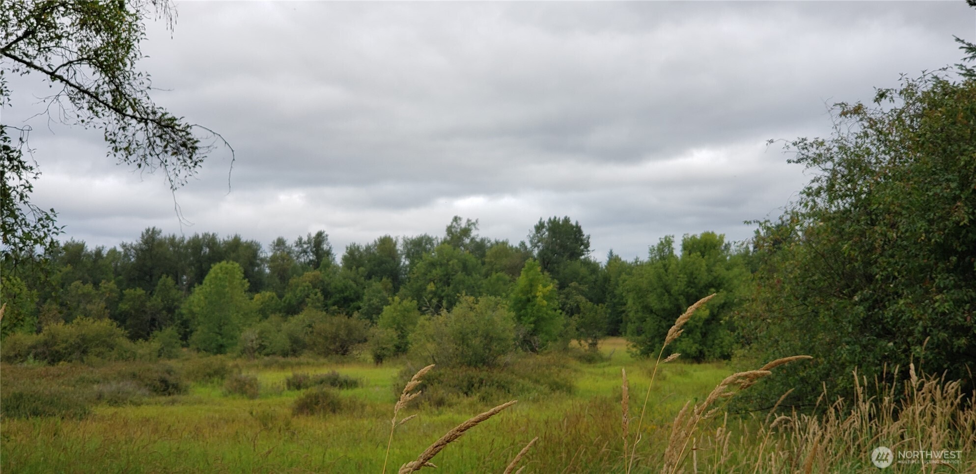 196 Jensen Road , Onalaska, WA 98570