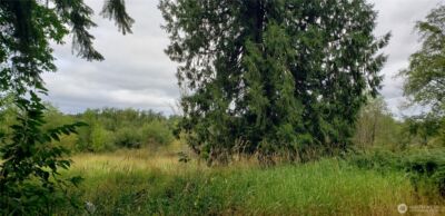 196 Jensen Road , Onalaska, WA 98570 - Photo 13