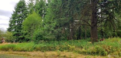 196 Jensen Road , Onalaska, WA 98570 - Photo 14