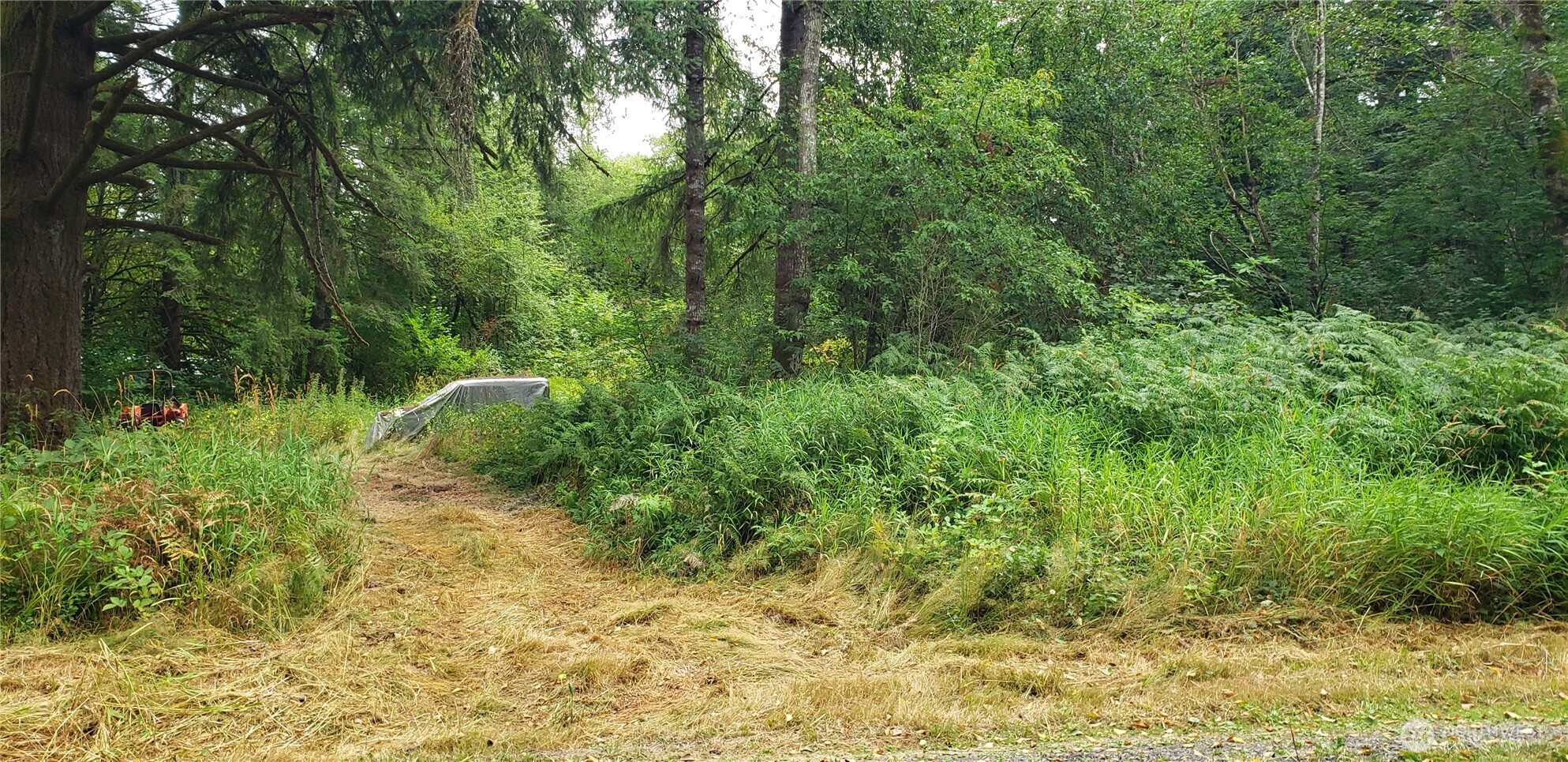 196 Jensen Road , Onalaska, WA 98570