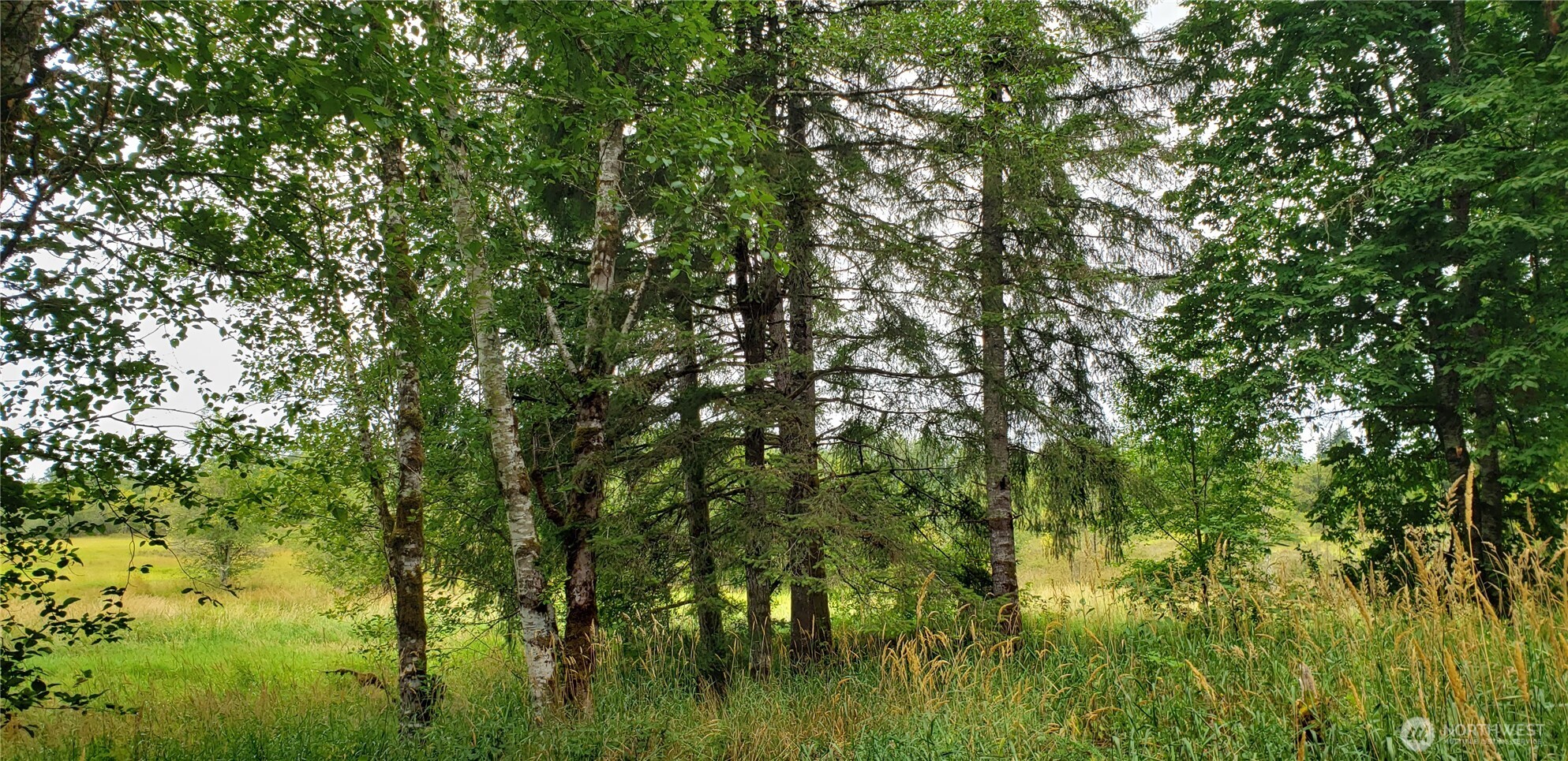 196 Jensen Road , Onalaska, WA 98570