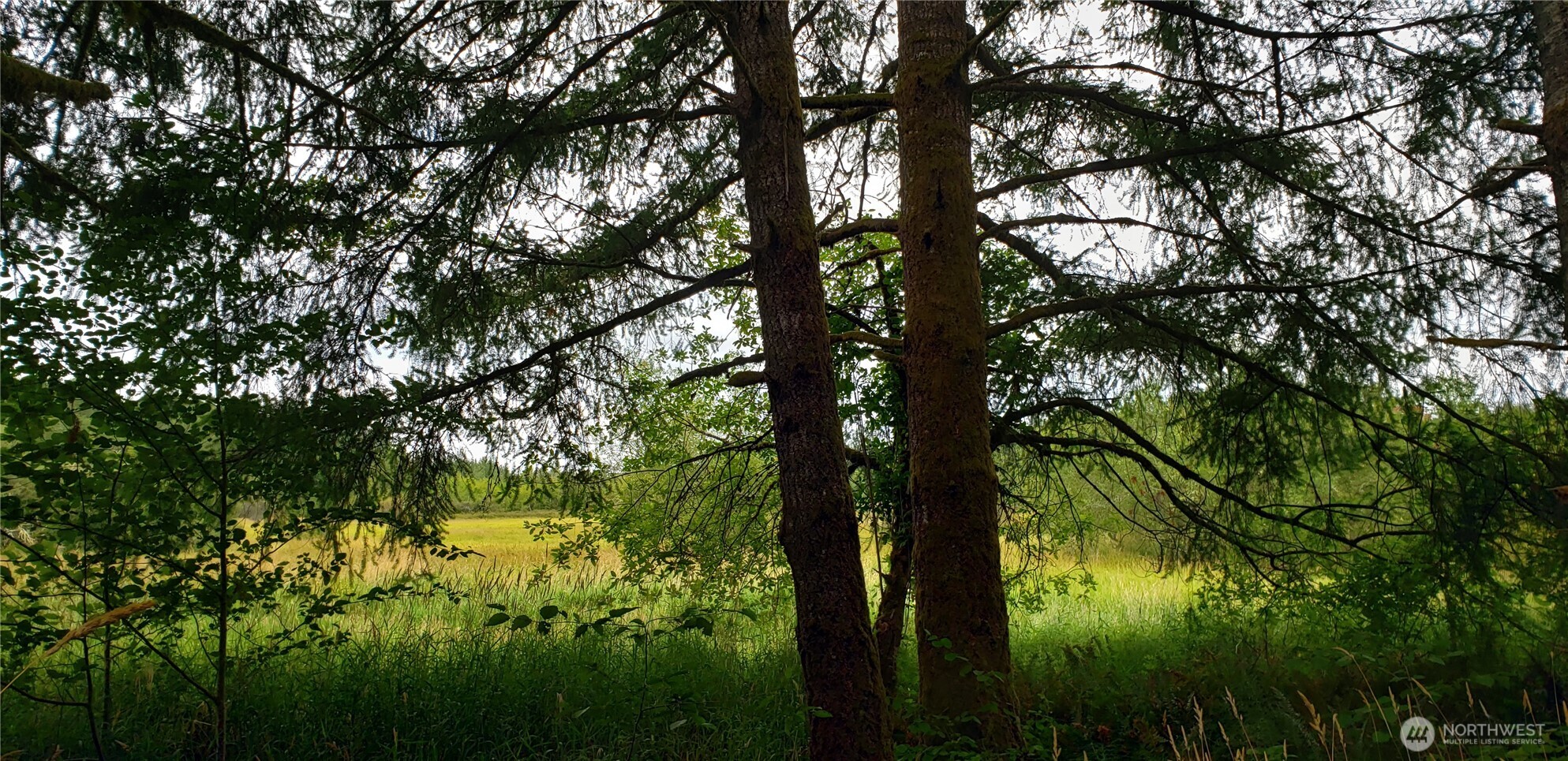 196 Jensen Road , Onalaska, WA 98570