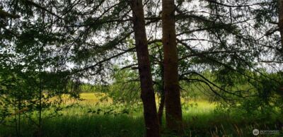 196 Jensen Road , Onalaska, WA 98570 - Photo 17